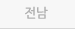 전남