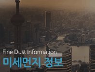 미세먼지