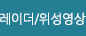 레이더 위성영상