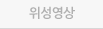 위성영상